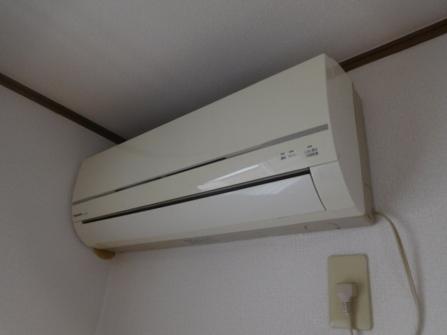 プチメガティーのその他
