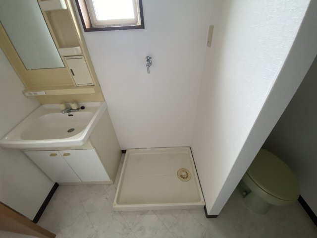 プチメガティーのその他