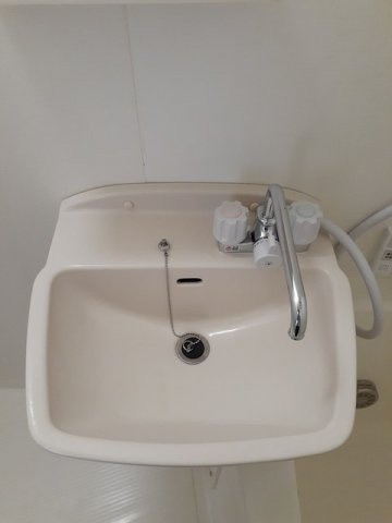 フリージアの洗面所