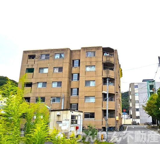 鷹志ハイツの外観|落ち着いた雰囲気の外観です