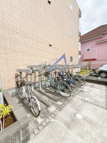 ベル・ブライト