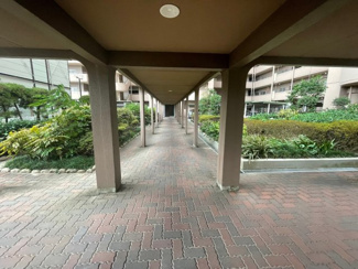 【その他】 | メゾンドール堺 | 敷地内にはお庭もございます♪