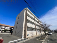 アクシスの画像