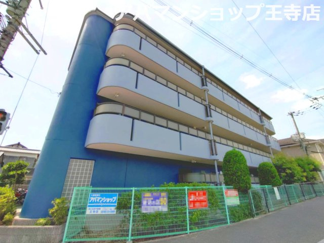 リオグランデ由希
