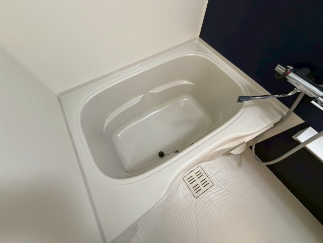 プレサンス江戸堀の浴室