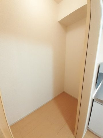 メラニー　Ａのその他