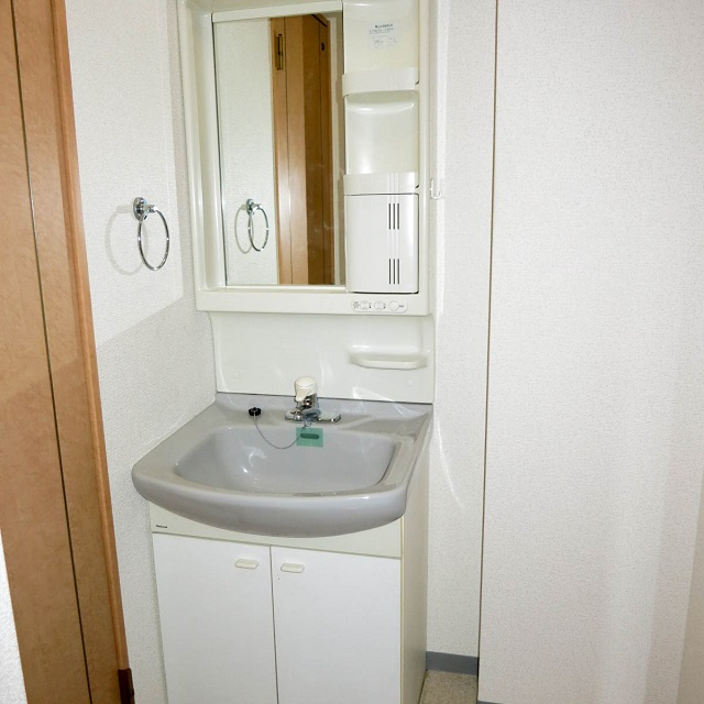 ビーチフラット浜中の洗面所