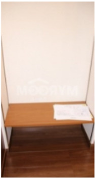 アーバンプレイス代々木公園WESTの収納|フローリング☆（同一仕様写真）