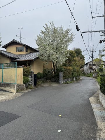 嵯峨釈迦堂藤ノ木町｜土地約93坪のゆとりある邸宅｜二方道路｜中古戸建の前面道路含む現地写真|前面道路は交通量が少なく、落ち着いた住環境が広がる閑静な住宅地です。