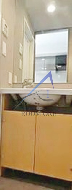 ガリシア蒲田Southの洗面所|洗面台です。