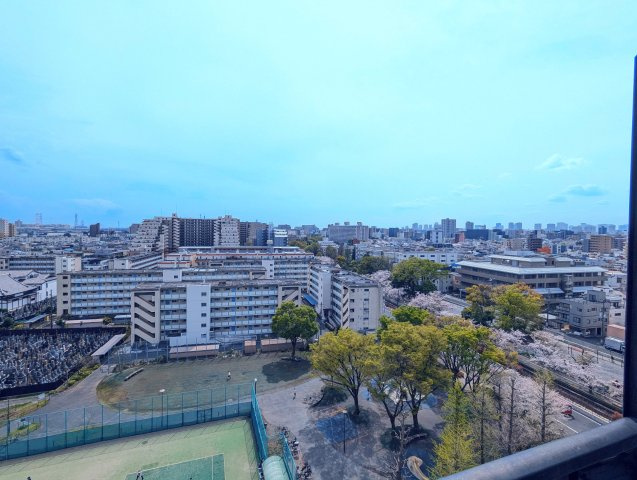 大島スカイハイツの展望