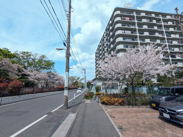 大島スカイハイツの外観
