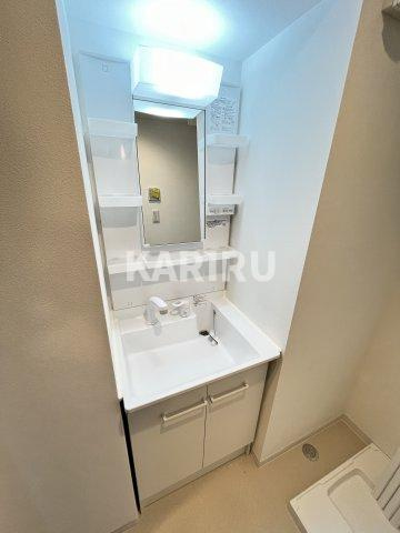 ソフィア東野田の洗面所