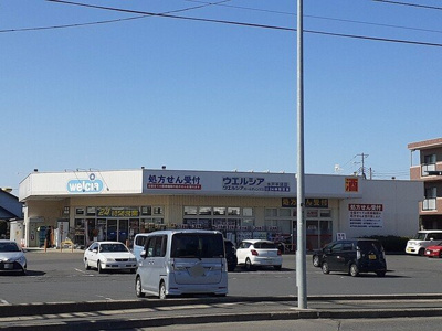 【周辺】 | プルメリア　イースト　Ｃ | ウエルシア　平須店まで1000m
