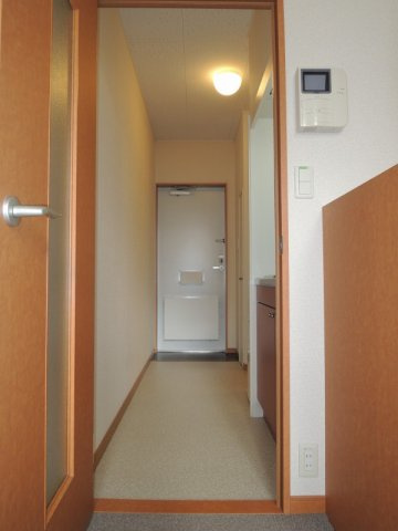 レオパレスライヤの玄関