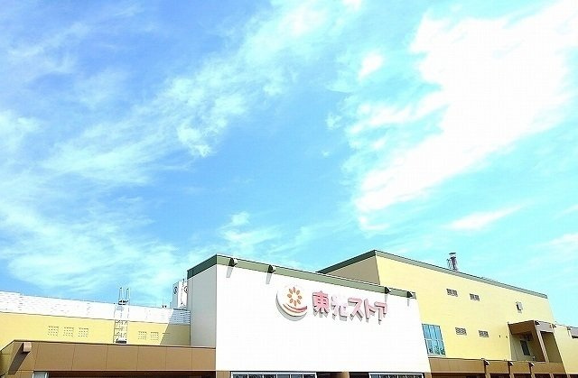 ルミウスＤの周辺|東光ストアまで1300m