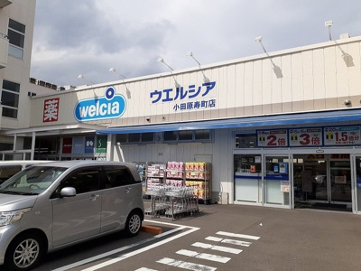 【周辺】 | ベルフォーノ | ウエルシア寿町店まで450m
