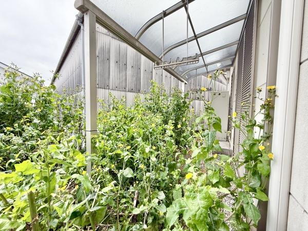 【その他】 | お庭があることで、家の周囲に障害物が少なくなり、建物全体に自然光を取り入れやすくなります！