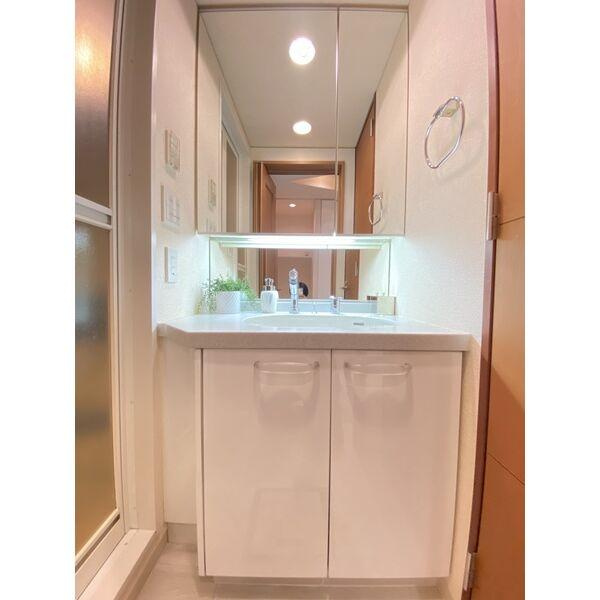 CITY　SPIRE桜川2の洗面所