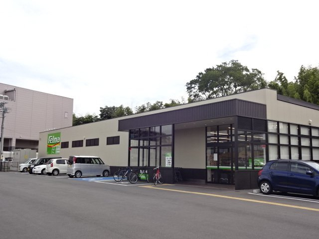 ニューシティ司の周辺|フェルナまで950m