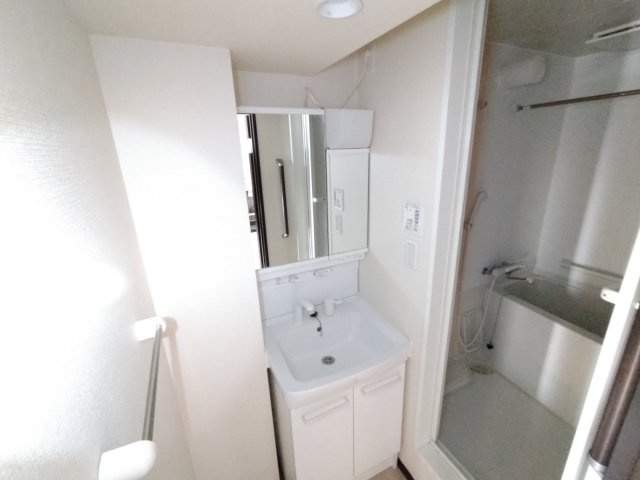 レオネクストアナスタシアの内装|独立洗面台