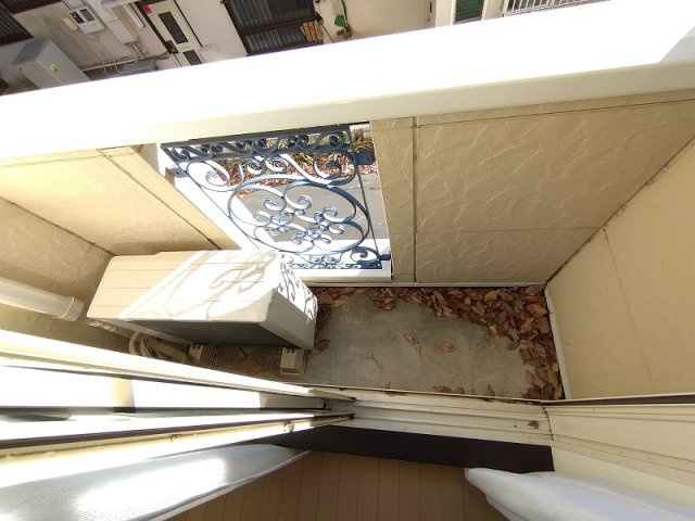 レオネクストアナスタシアのその他