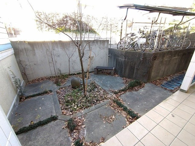 レオネクストアナスタシアのその他