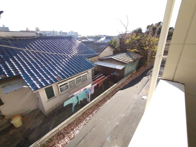 レオネクストアナスタシアのその他