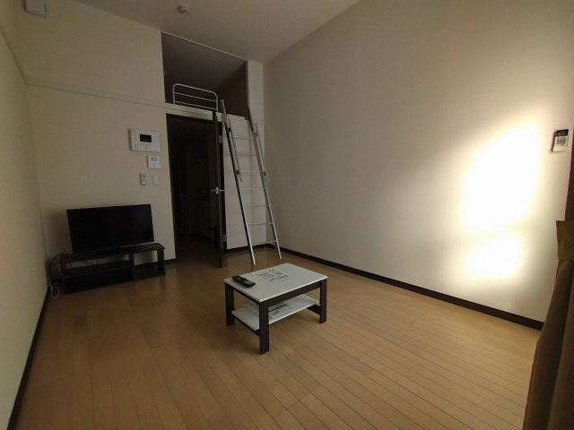 レオネクストアナスタシアのその他