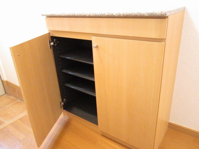 セレナ・カーサＡの玄関