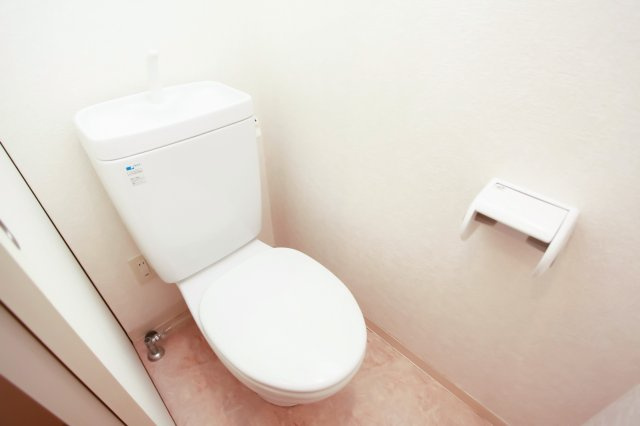 サヴォイエンポリウム　5階のトイレ|別号室のものです。現状優先になります。