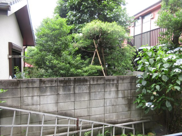 Ｐａｒａ　Ｏｎｃｅの展望