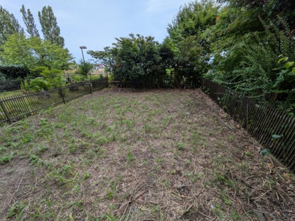 【庭】日東サンシャイン青山Ａ棟 