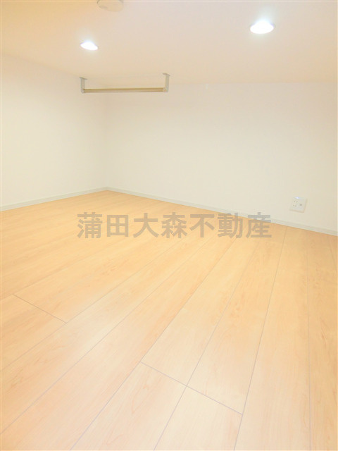 プラチナシティ蒲田のその他