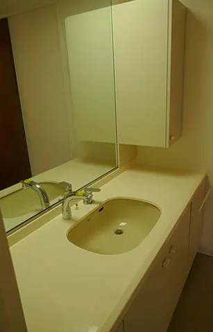 ラナイクラルテ29の洗面所