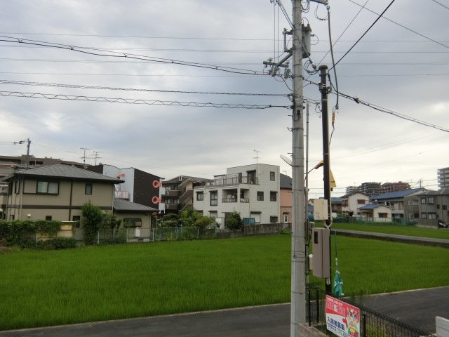 アネスティコートの展望