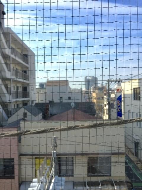 ＭＯＫの展望