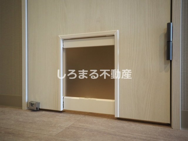 LEGALAND+猫 MIYAKOJIMAのその他