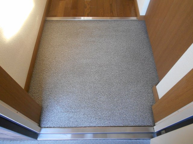 フォレストハサマの玄関|※別のお部屋の写真です