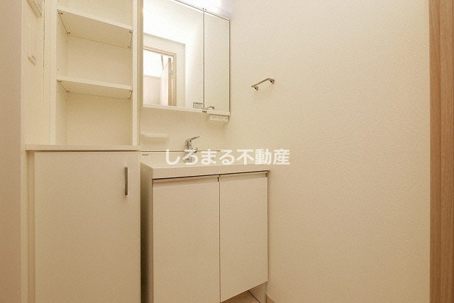 LaDouceur九条の洗面所