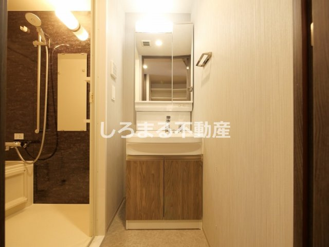 ブランシエスタ森ノ宮の洗面所