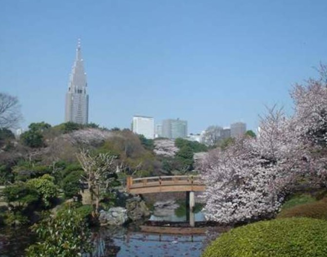 プレール・ドゥーク新宿御苑の周辺