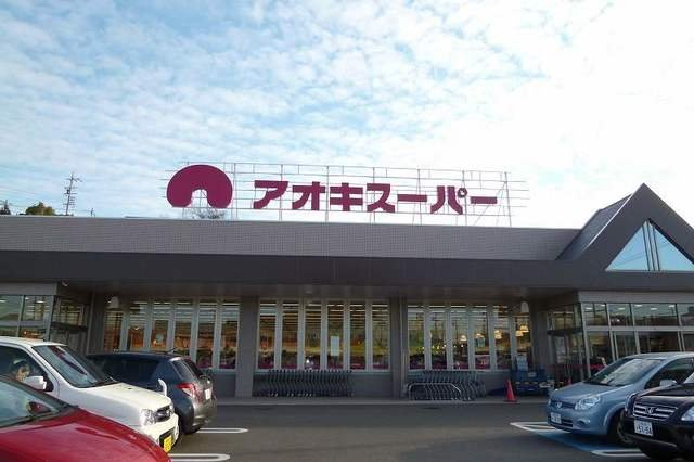 グレースハイツ　Ｓの周辺|アオキスーパーまで800m