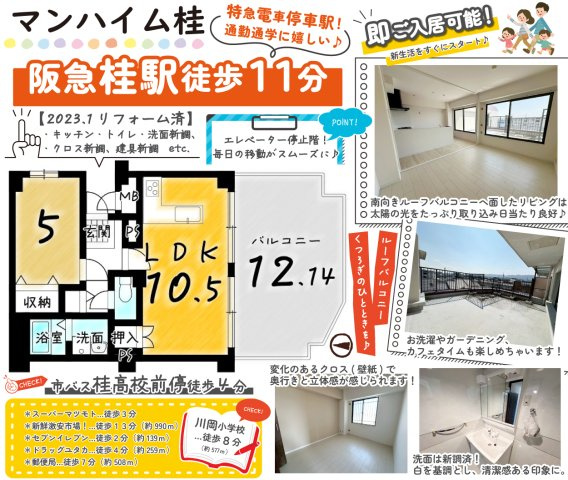 マンハイム桂の間取り|ルーフバルコニーは南向き！太陽の光がたっぷり差し込み陽だまり空間に♪