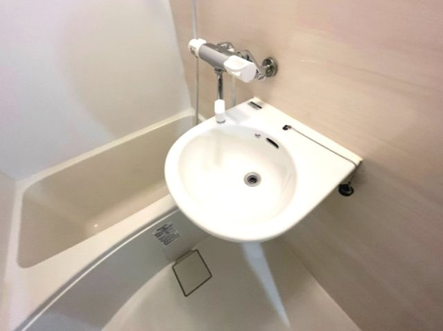 プラチナシティ蒲田の洗面所