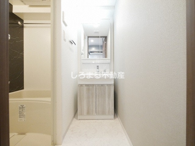 S-RESIDENCE天満Gracisの洗面所