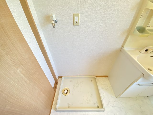 サル　ドセジュール