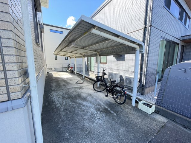 サル　ドセジュール