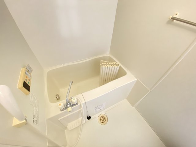 サル　ドセジュール