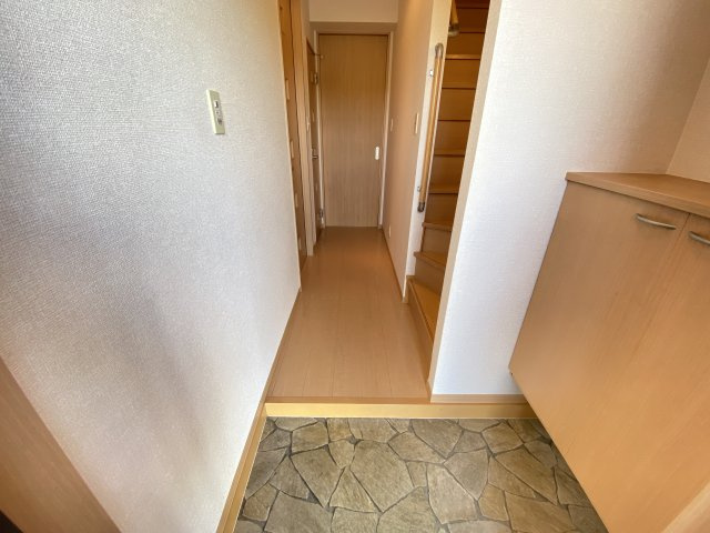 サル　ドセジュール